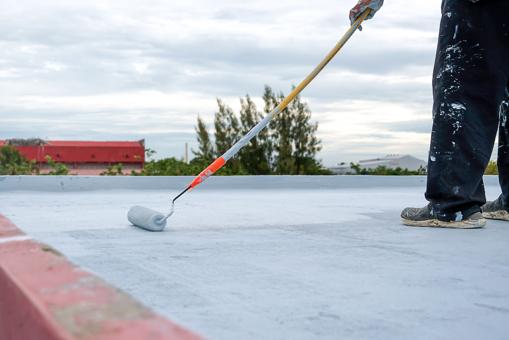 Roof Painting-3