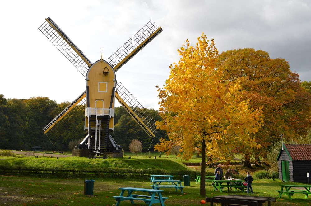 Mill Park-img-1
